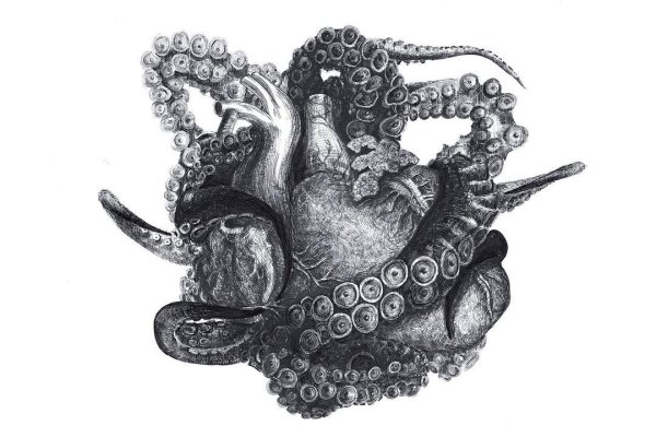 Kraken onion вход