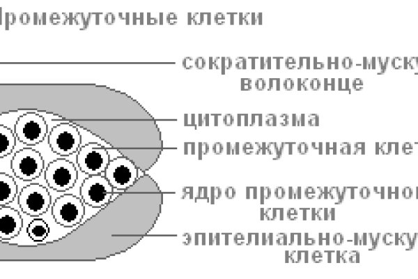Даркнет официальный сайт вход