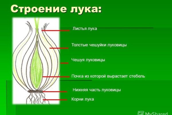 Кракен маркет только через тор