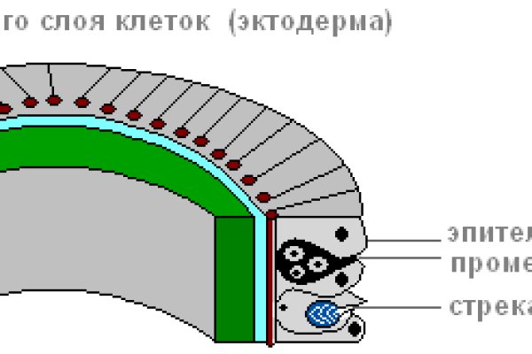 Как попасть на кракен