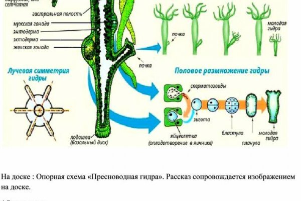 Ссылка на кракен onion kraken dark link