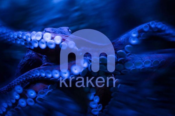 Kraken 16 onion