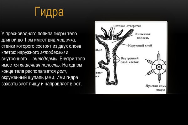 Кракен маркет даркнет только через стор