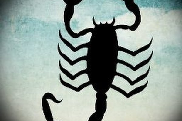 Kraken рабочее зеркало