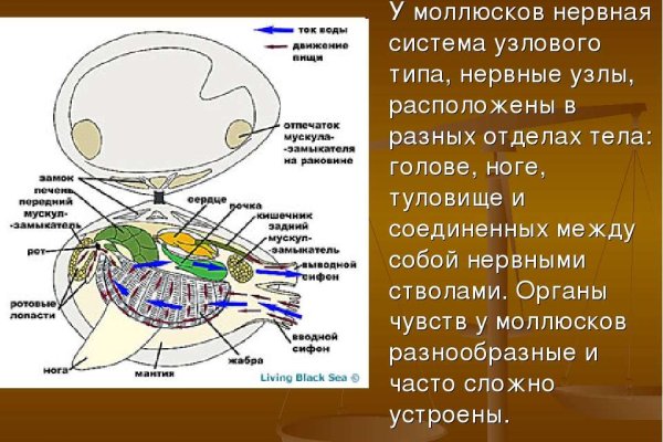 Ссылки на сайты даркнета