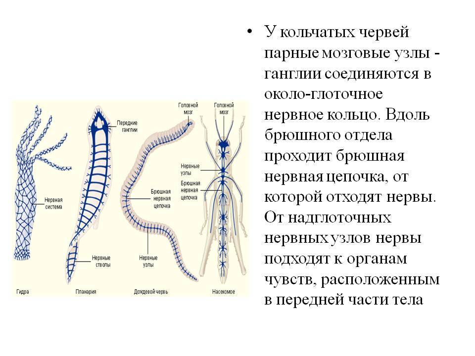 Кракен невозможно зарегистрировать пользователя
