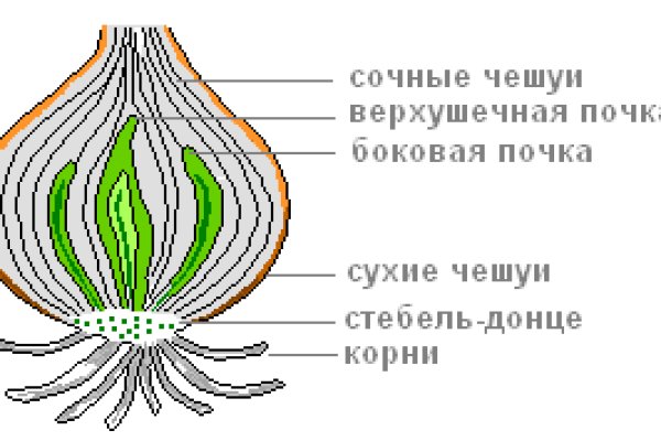 Kraken clear ссылка